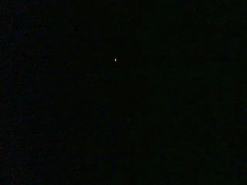 2004 MÄRZ/ Tania Australis wird auch mit dem Handy abgelichtet.jpg